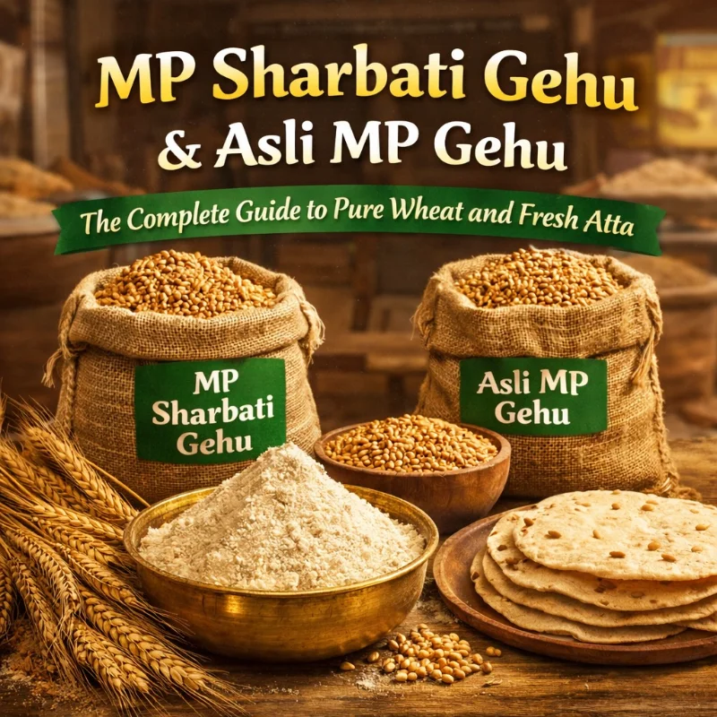 MP sharbati Gehu