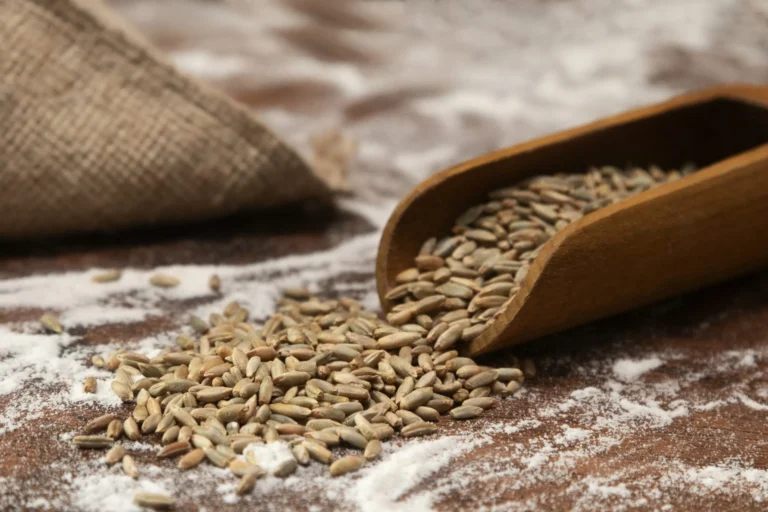 Is Khapli Wheat Safe for Diabetics?