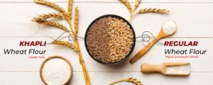What Is the Difference Between Khapli Wheat and Regular Wheat (Sarbati/Lokwan)?