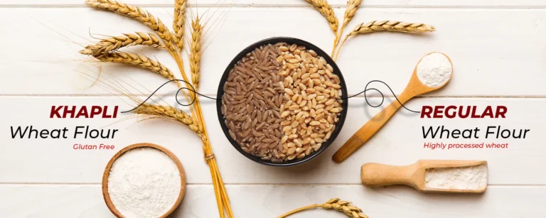 What Is the Difference Between Khapli Wheat and Regular Wheat (Sarbati/Lokwan)?
